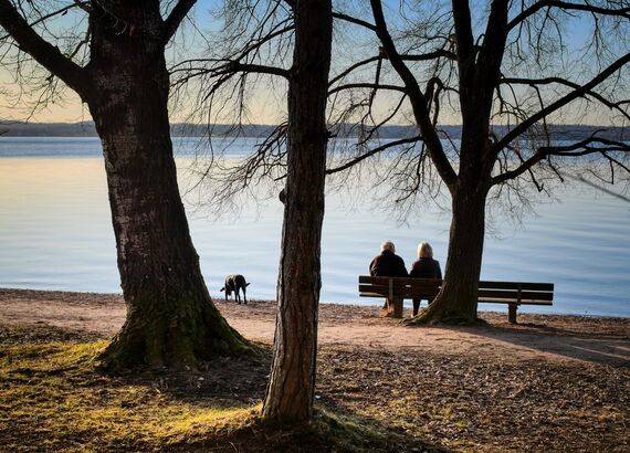 Blick auf ein Paar, das an einem See auf einer Bank sitzt. In kurzer Entfernung erkundet ein Hund das Ufer.